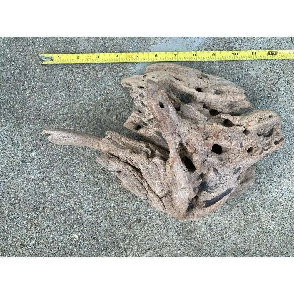 Ohio River Driftwood 11